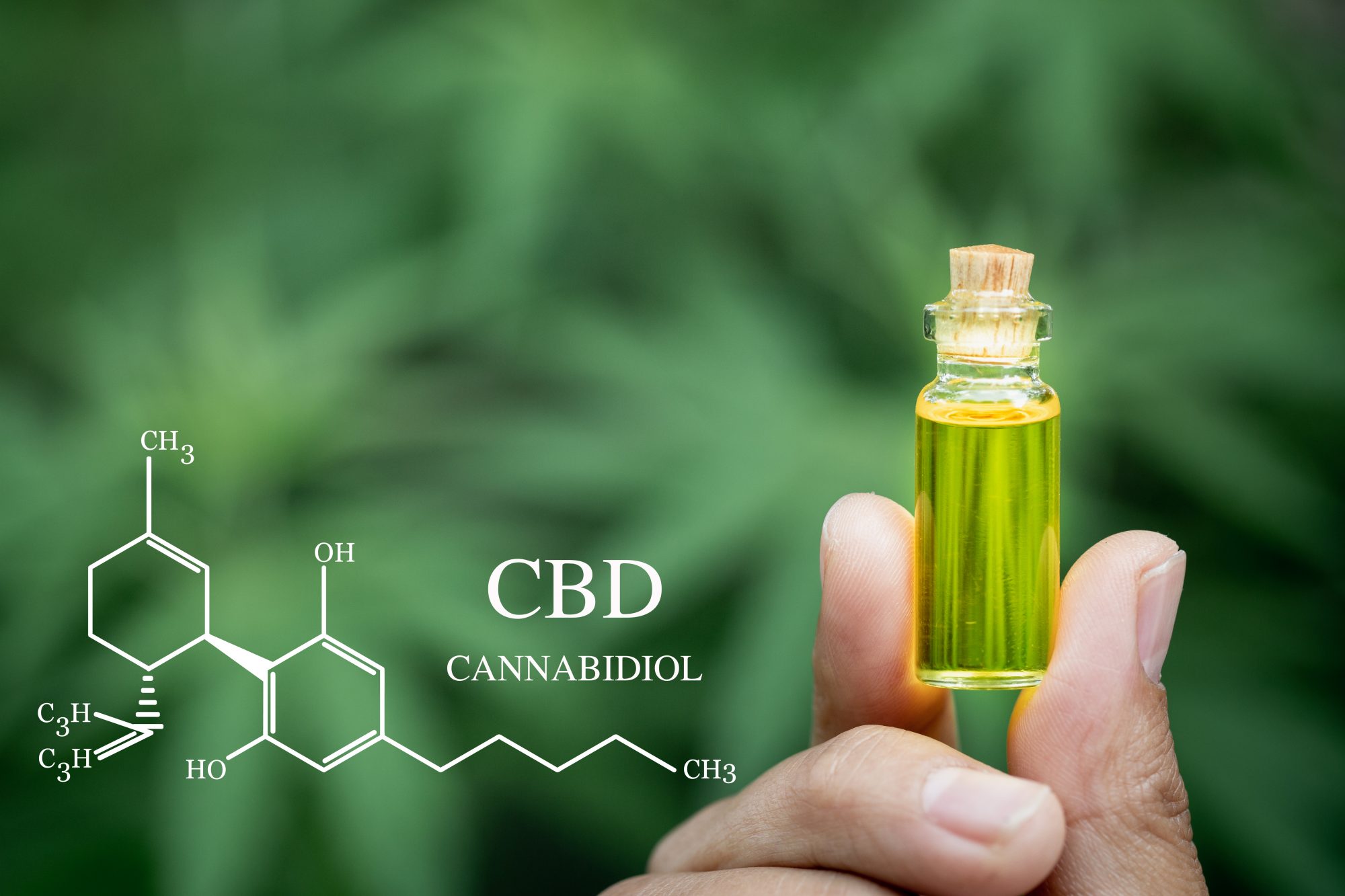 Elevating Your Sex Life with CBD